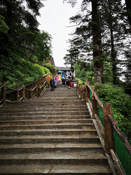 旅游步道