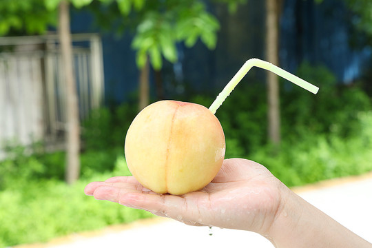 阳山水蜜桃