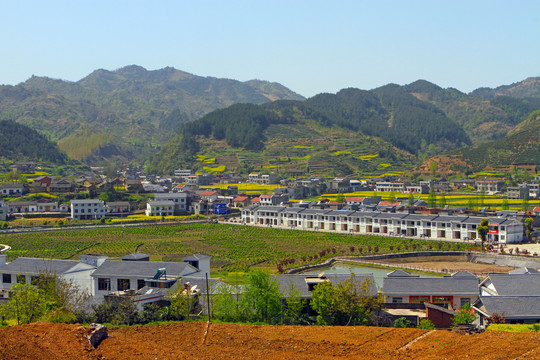敖家坝M
