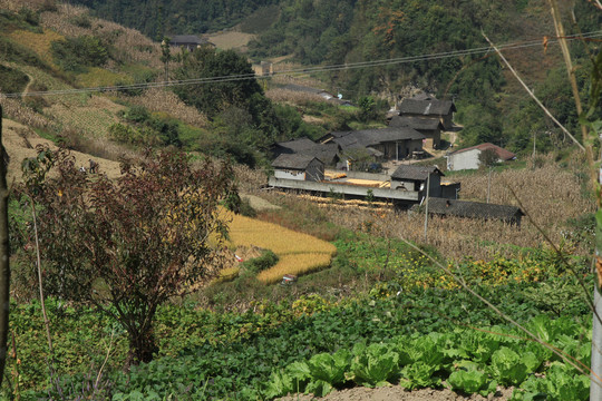 洞沟河村庄BL