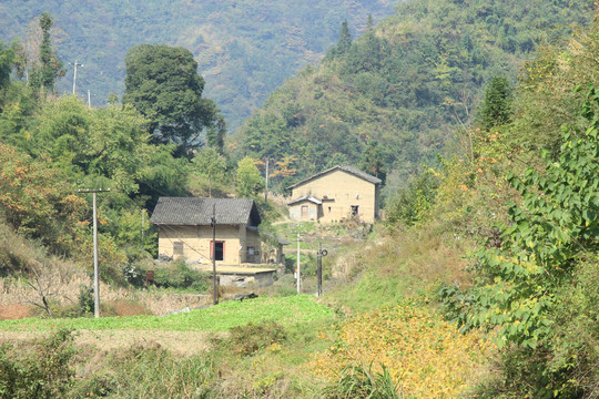 洞沟河村庄C