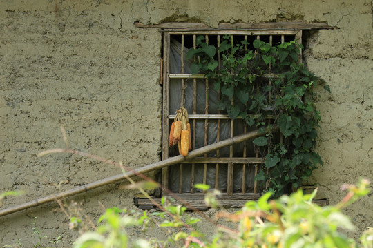 洞沟河村庄P