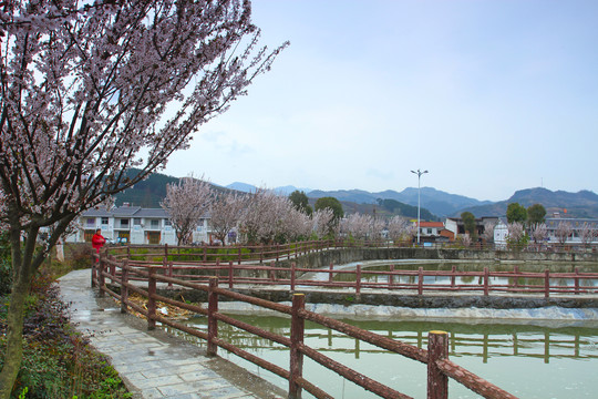 蒋家堰风光S