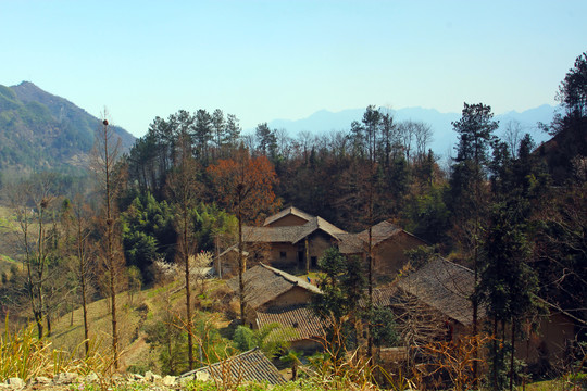 蒋家堰风光B
