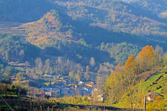蒋家堰风光BU