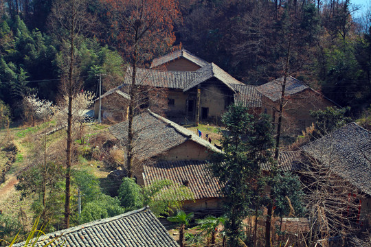 蒋家堰风光D
