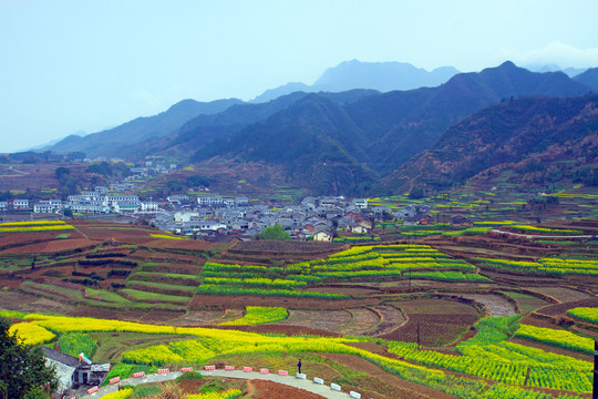 蒋家堰风光G
