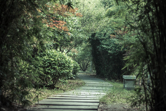 石板路