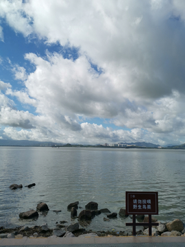 深圳湾的云