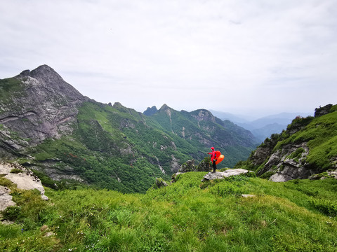 高山草甸