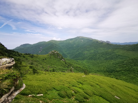 高山草甸