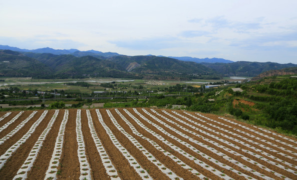 田园风光