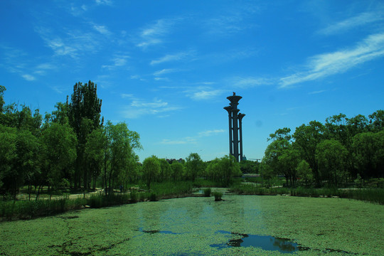 湿地公园
