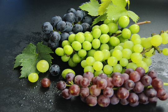 多品种葡萄