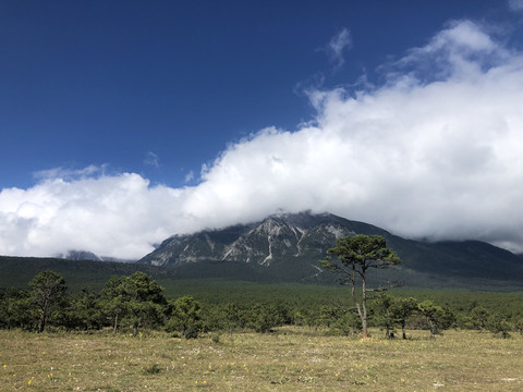 云雾笼罩山顶