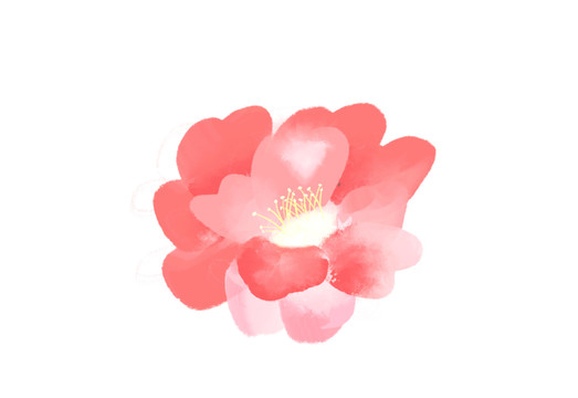 小清新水彩风粉色花卉