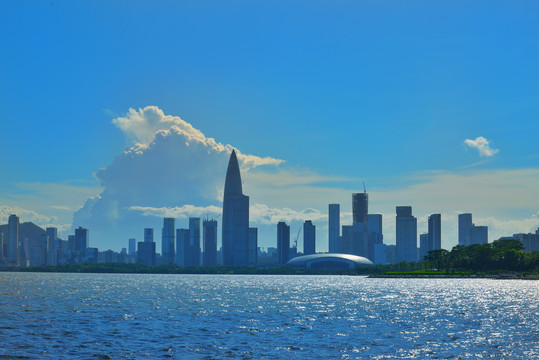 深圳湾