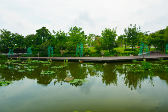 孝德湖公园风景