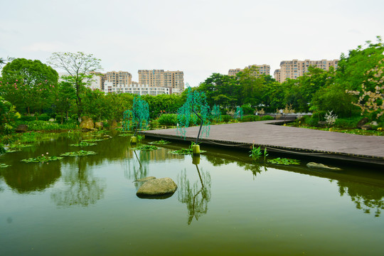 孝德湖公园风景