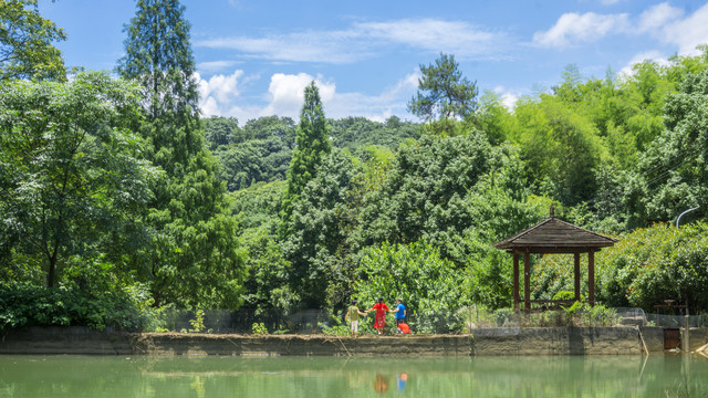 公园风景