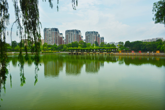 孝德湖公园风景