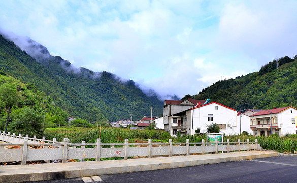 向坝风光BP