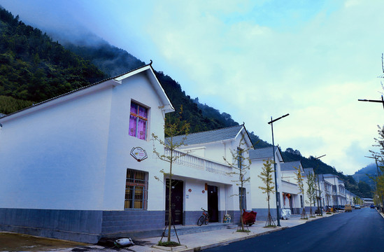 向坝风光BR