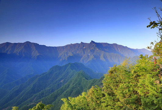向坝风光Y