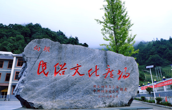 向坝风光BX