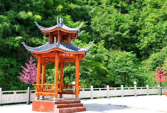 向坝风光CQ