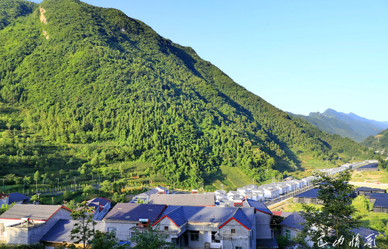 向坝风光CS