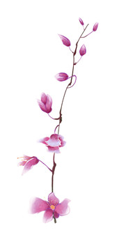 小清新水彩风紫色花枝