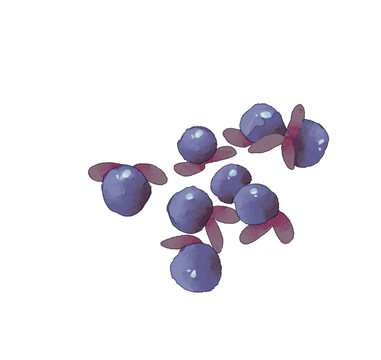 小清新水彩风紫色圆形果实