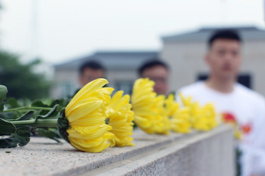 清明菊花祭英烈