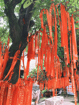 青城山祈福