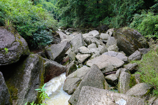 河道石头堆