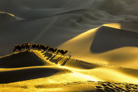 新疆沙漠