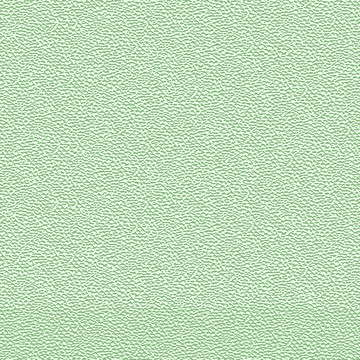 绿色立体质感虫子纹