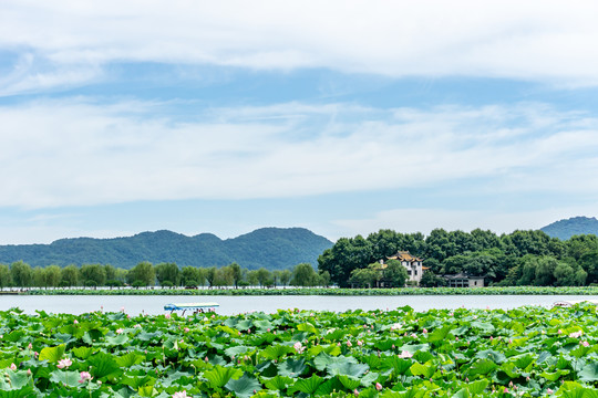 雷峰塔景区