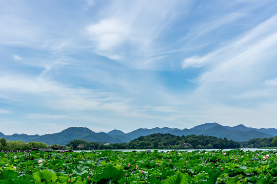 远山湖泊