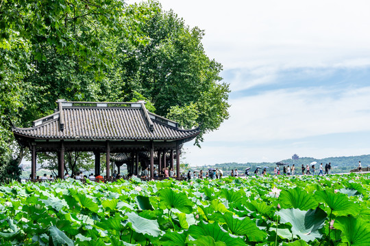 西湖园林建筑