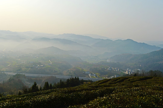 县河云雾FD