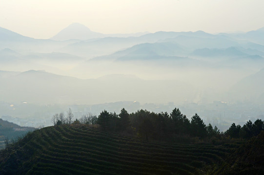 县河云雾DN