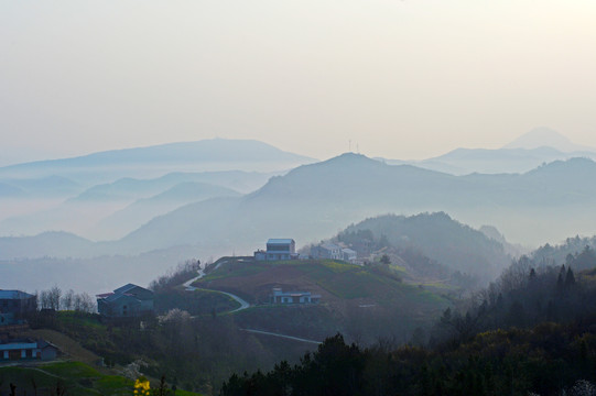 县河云雾CK