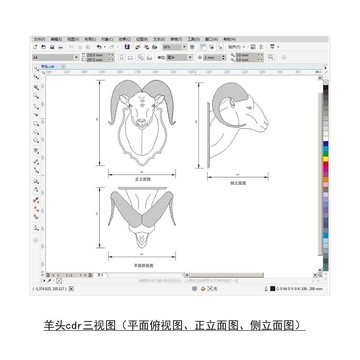 羊头cdr平面图立面图