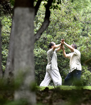 老年男人打太极拳