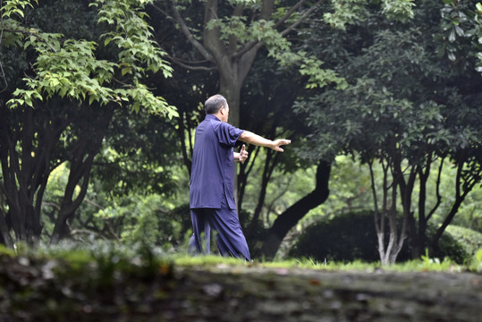 老年男人打太极拳