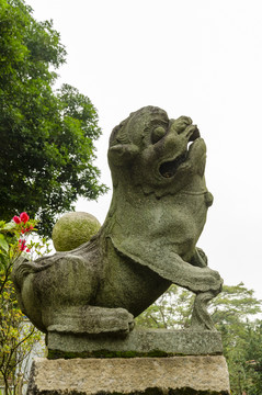 泉州开元寺的石狮子