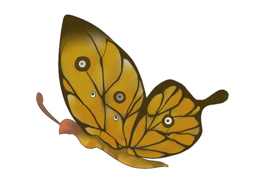 小清新质感半透明黄棕色蝴蝶