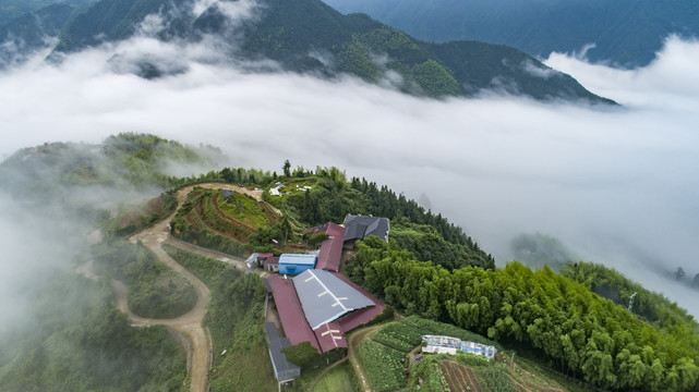 高山鹿场